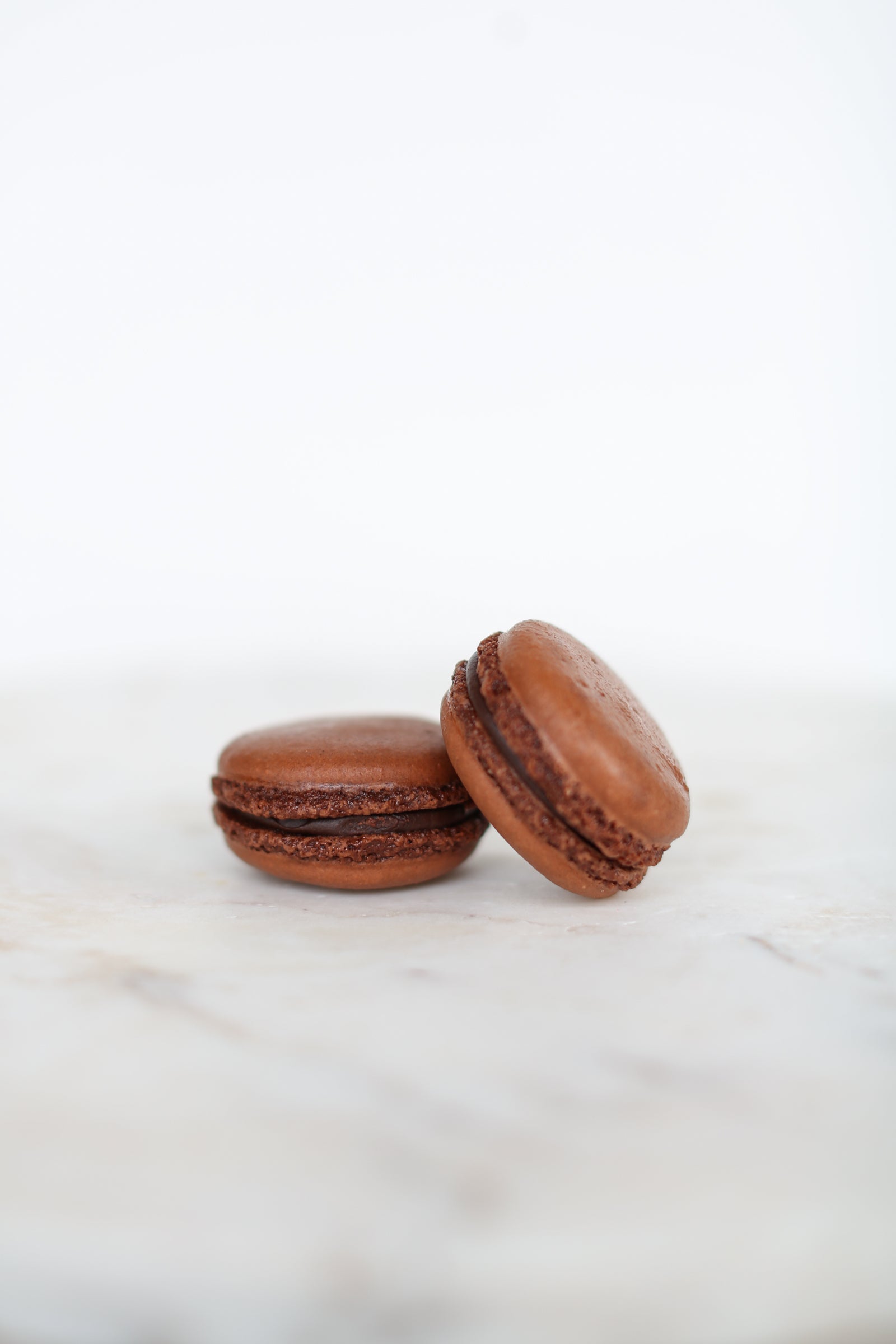 Chocolate Macaron