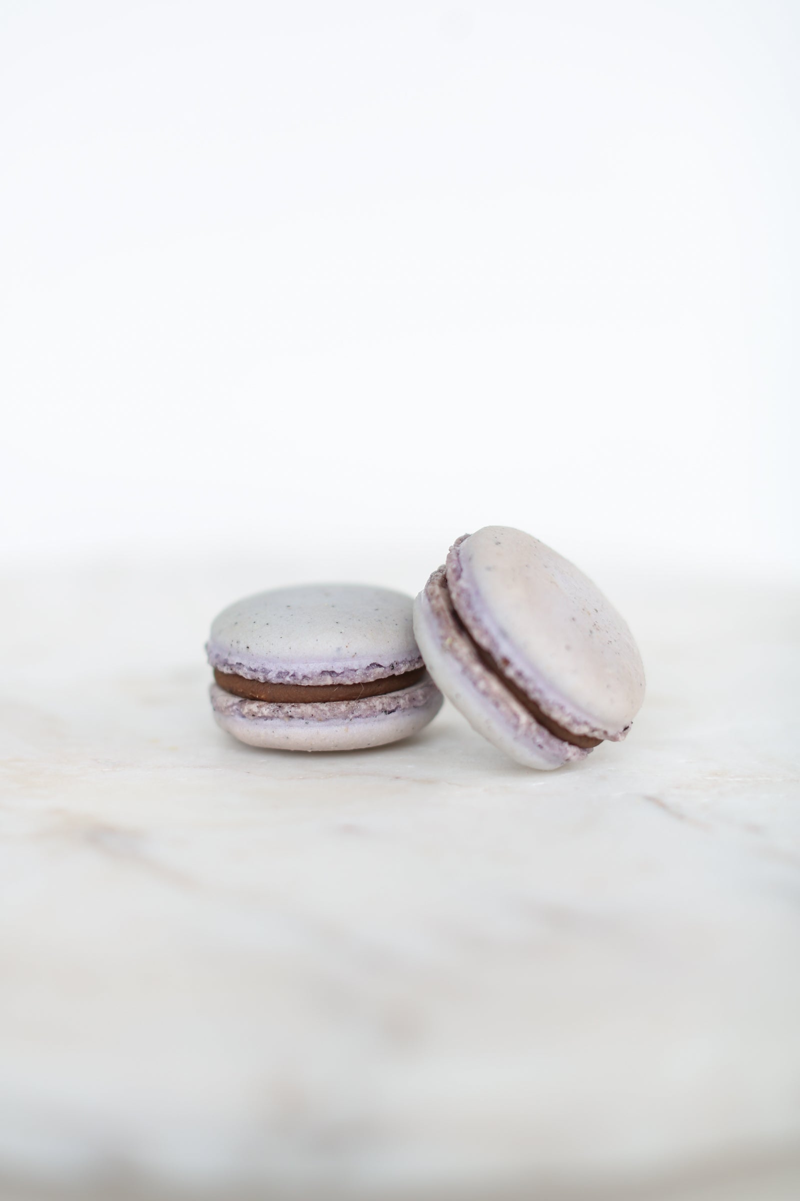 Earl Grey Vanilla Macaron